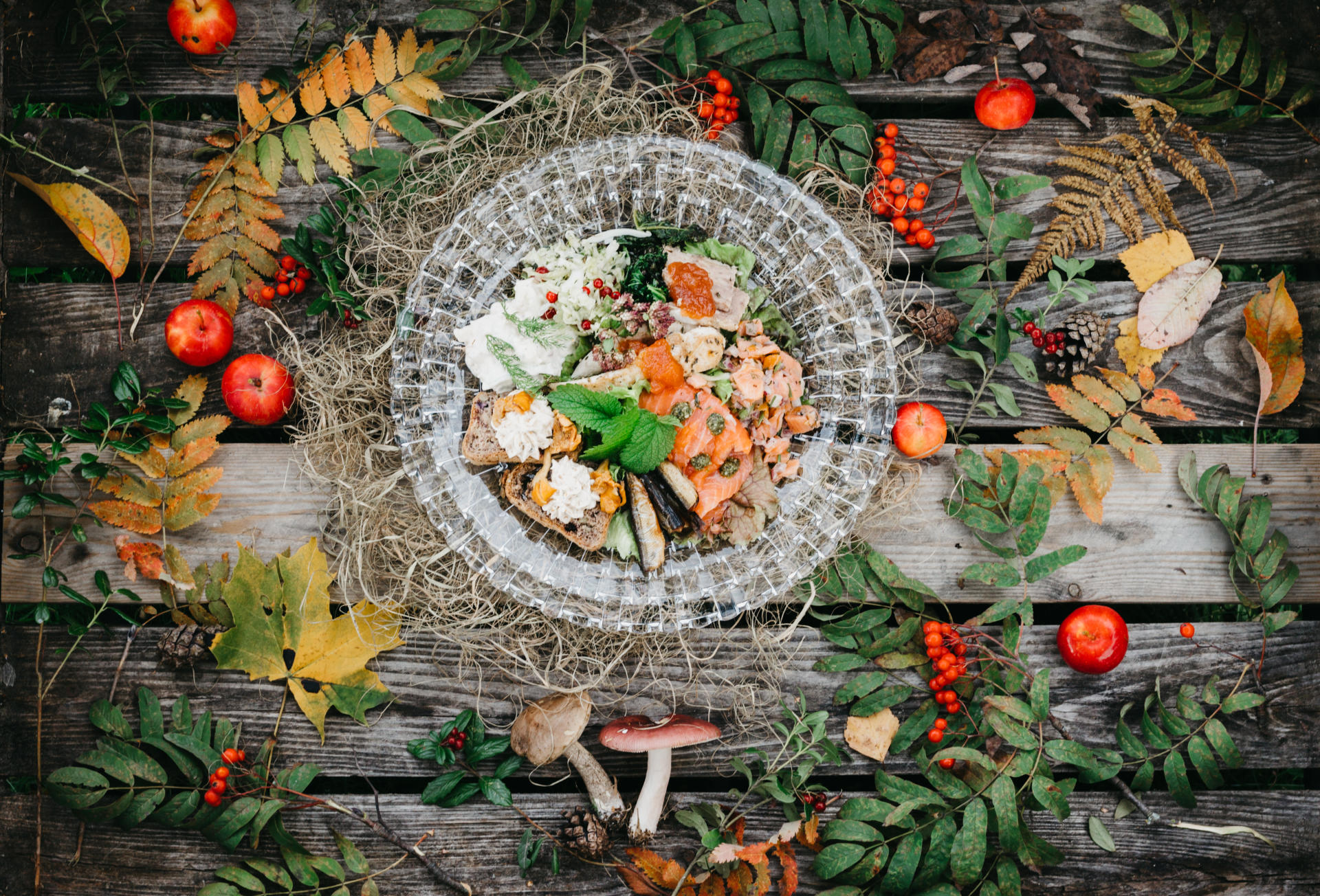 Hankkeen parhaat tulokset syntyivät yhteistyöllä